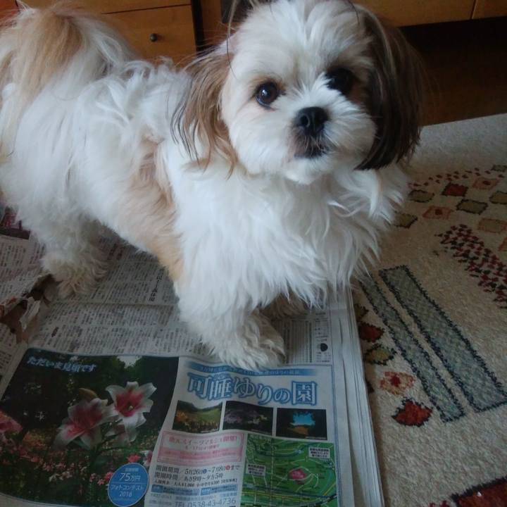 7b4f1095 5e3a 4c51 acdb 0b0a94e5bd4c 1528414862823