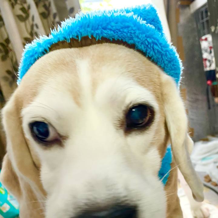 7b4f3827 d022 476d 9695 ac2b00637292 1642484130902