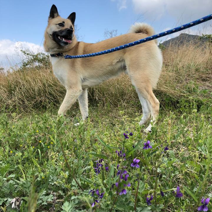 7b4f45e7 0fd7 487e a949 7876a7abbaa0 1523165343753