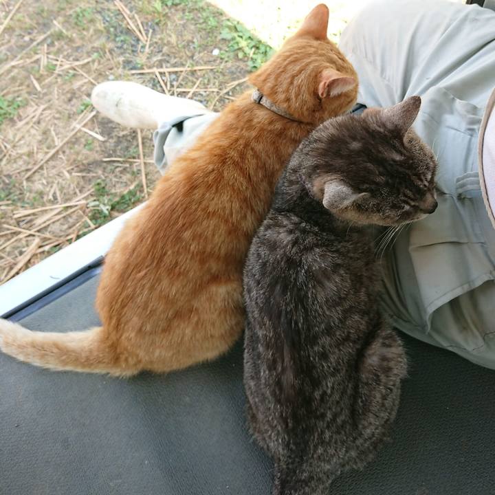 7b4f45ff 069b 4faf add8 4e0e19418dbd 1593325619862