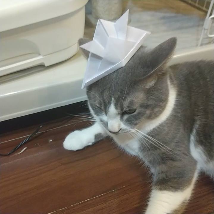 7b4f5064 7654 470e bd1e 7fafdfde7667 1651752593064