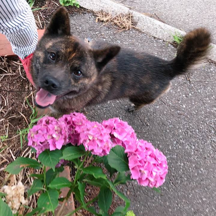 7b4f88ec 10c0 4f01 8b9b 4d0ef102eb75 1530088171427