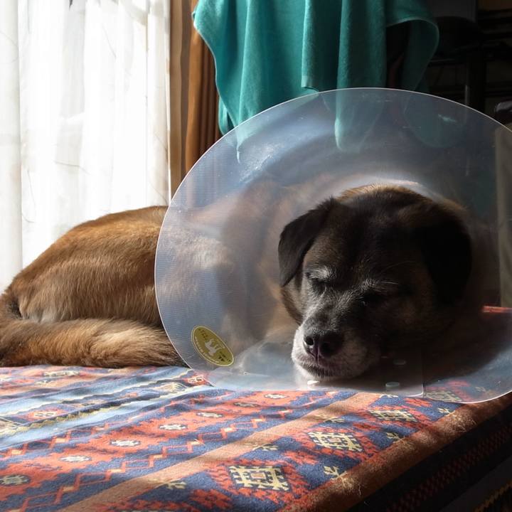 7b4fa0e4 3fd1 43a9 9de9 055cc636621d 1582988985763