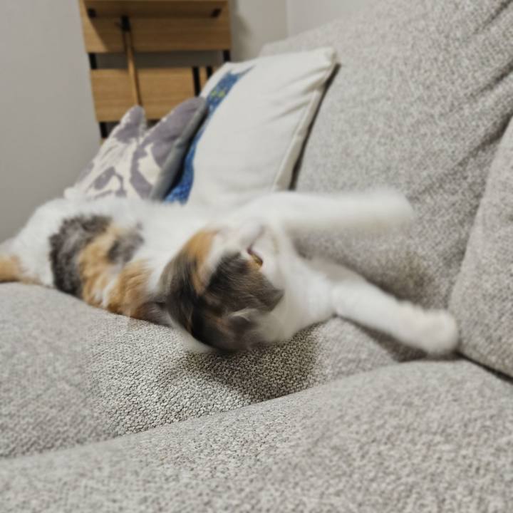 7b4fabae aada 41ae 82ad 803fe680bd88 1768654663955