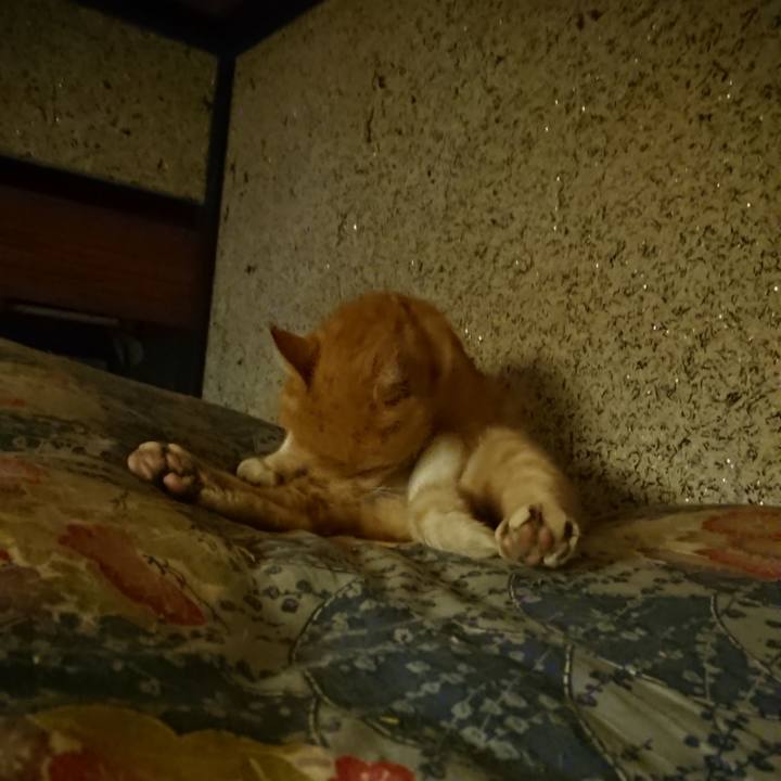 7b4fcdc2 7b3e 40d9 bd00 bbdeeb728fb2 1602264655531