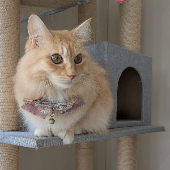 7b4fdb6a 1974 494c 94f8 eb114f1fd0d0 1732508786267