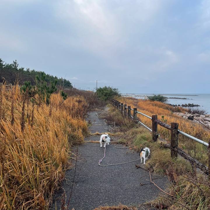 7b500d76 4139 4e48 ac79 8885f562c2cc 1764025288256