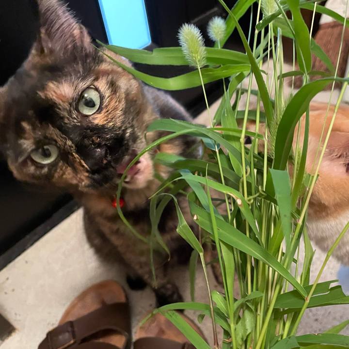 7b501348 d053 464d 8c12 daecc2086b55 1659089729626