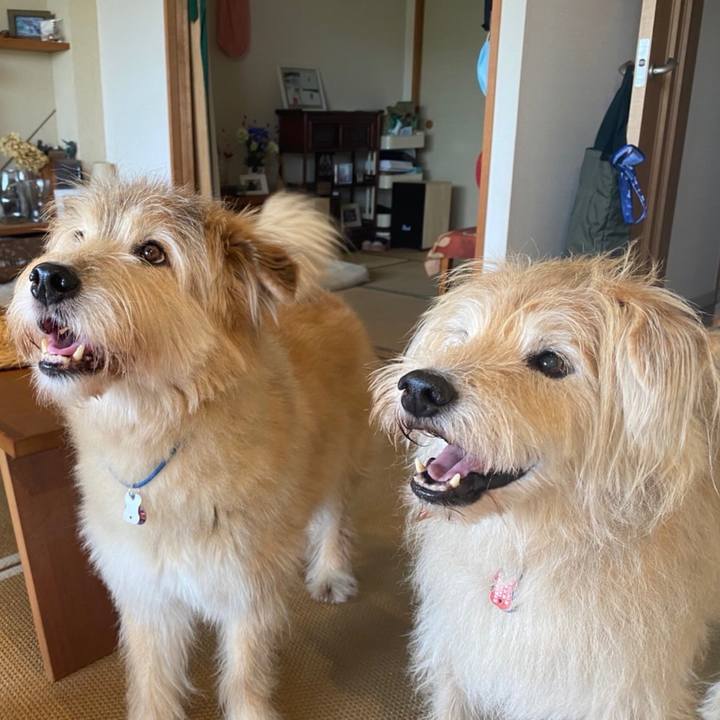 7b505c64 ac02 486a 9385 2951b226439f 1632064029597