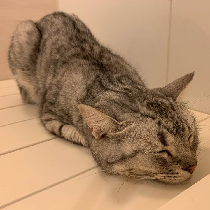 7b50639b ba73 45fe ab84 6957f1118647 1618036603487