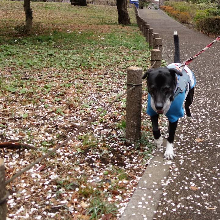 7b5070d2 6c2b 4d80 944e a2435eed6324 1741220006890