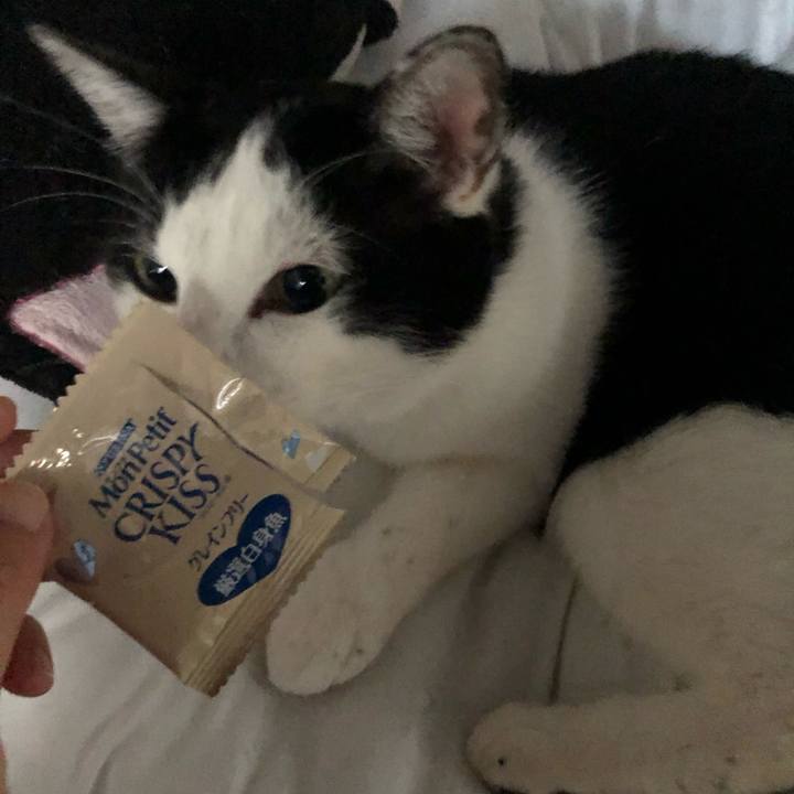 7b5087f0 aff8 4431 bfaf a84201177735 1589486972661