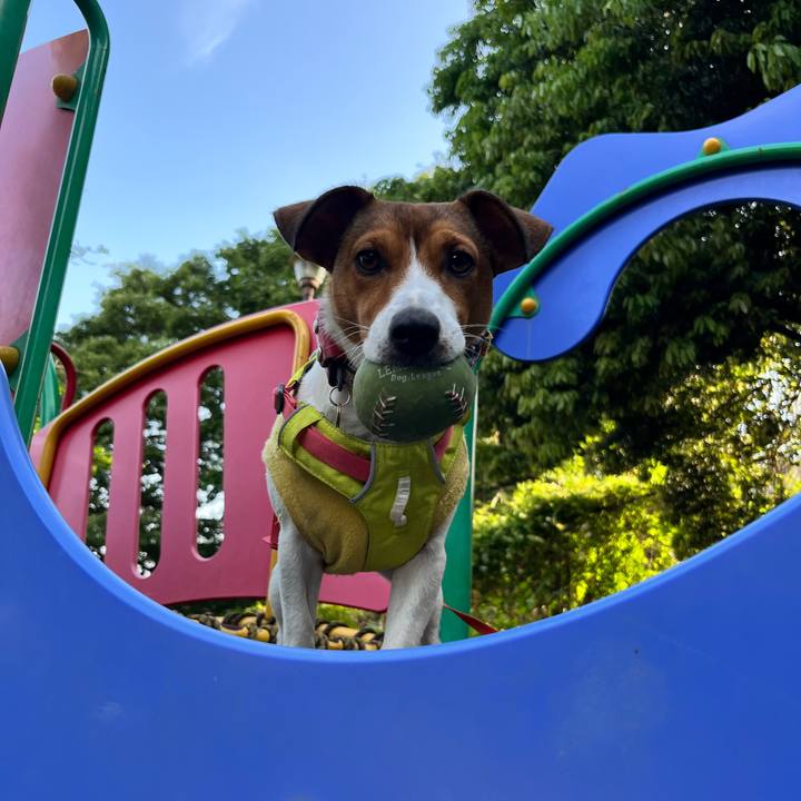 7b50a8f2 448e 48ed ace2 c5c0f3180815 1715165262466