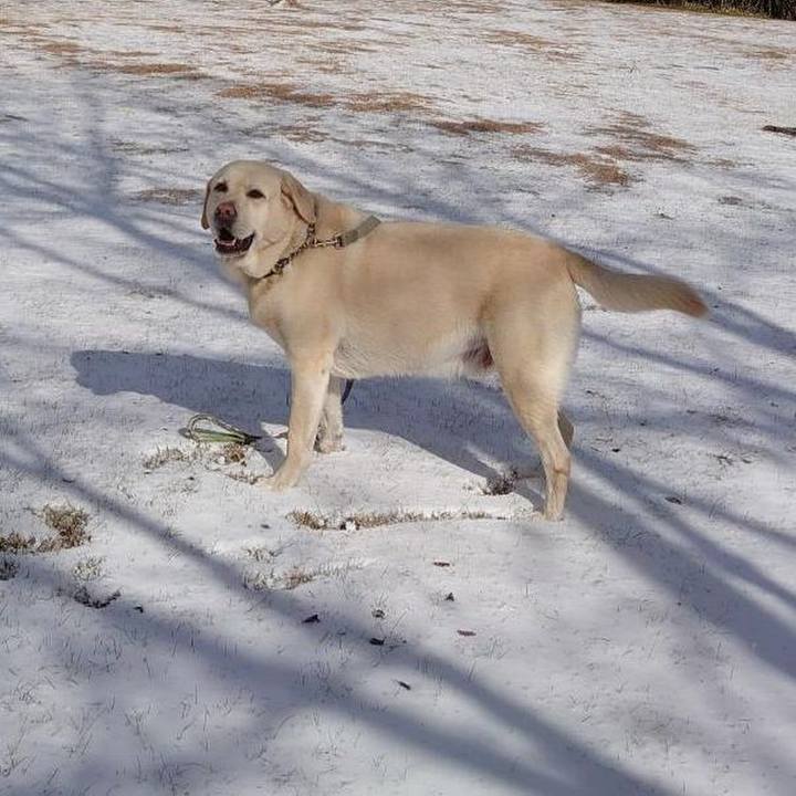 7b50dde4 9ed9 4663 97fa d2fce67b7ae2 1700283425905