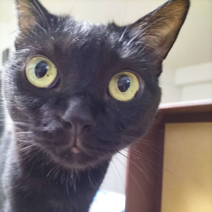 7b511aa1 a32a 44cb 828c c9348bc1c473 1694385138259