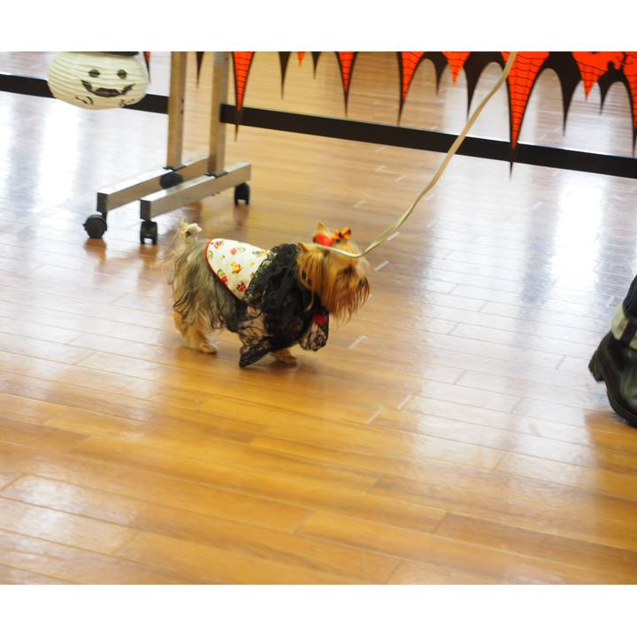 7b512e66 d1f7 4cf6 81aa 0a3ad313fbd7 1539348622219