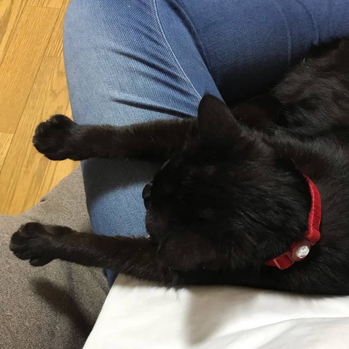 7b5137cf 964e 4f10 9cb1 dc832af83977 1563193574422