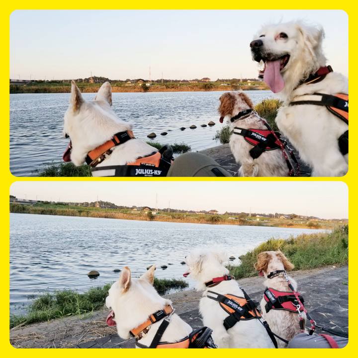 7b51594c 4767 4873 9b4b 7e3c417591a6 1664698097879