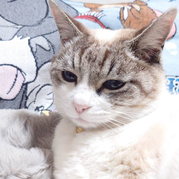 7b515e32 6fde 42ab 9ff3 6bdd77756bd3 1744283095845