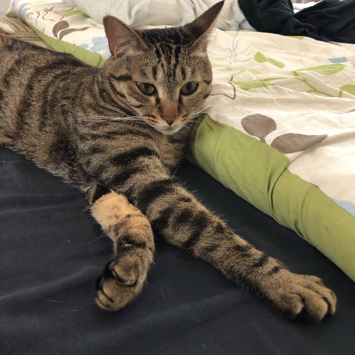 7b5195c5 e99d 4288 9a90 7c4e5a956a9b 1528558861455