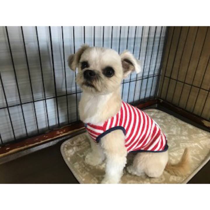 7b51efbe 7fff 40b4 ac9e 1d3e1f206492 1552300860913