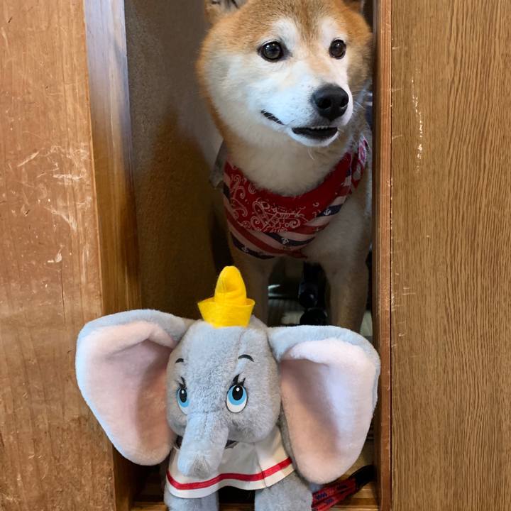 7b521484 e398 49fc 91c9 3fef093b72cc 1596018390199