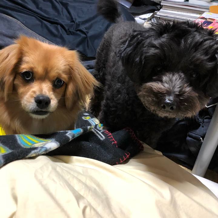 7b523c78 73ae 48fc ac32 10fa197a8b68 1519431620267