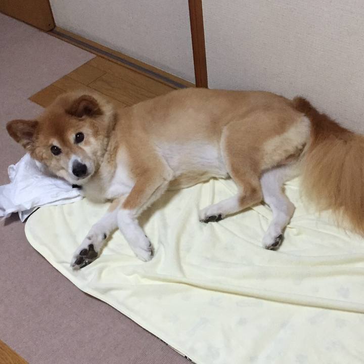 7b524116 18f3 4599 a670 ba75009c3cda 1556341120795