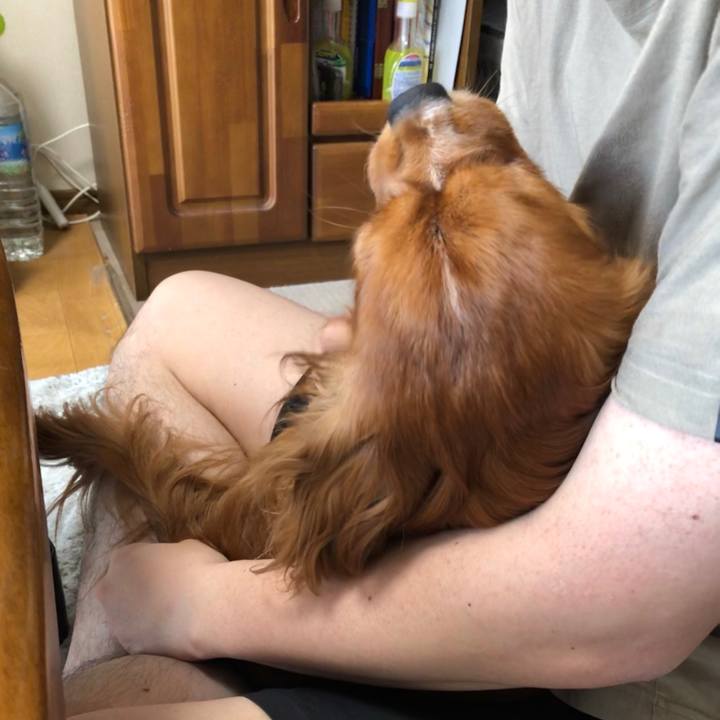 7b524742 a14c 40e1 a703 2e2d8cd97013 1589235768185