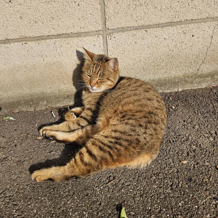 7b529c0f 0a13 490a a7ef 32b521c5323f 1703742474744