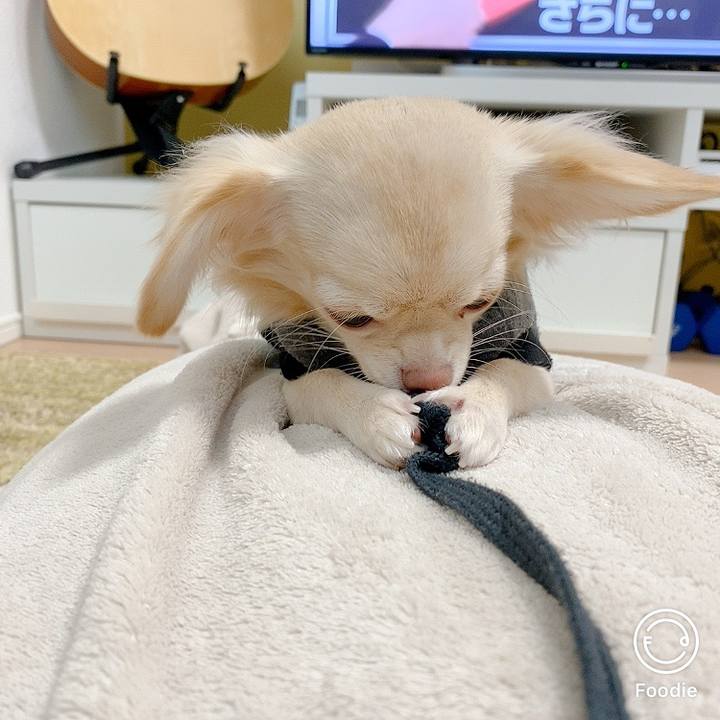 7b529e4e 02d5 4673 be12 1f65f27e2daf 1603091192593