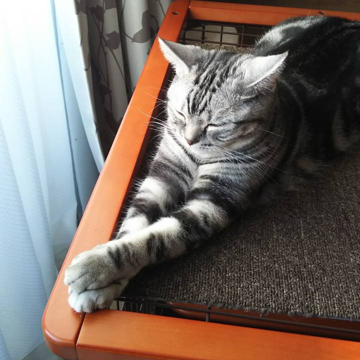 7b52a0a3 9471 49c8 b0a0 7727fc459a5a 1581514826973