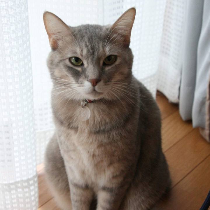 7b52d3ab 58c9 4d13 bfb4 19b691cd3d4a 1545436225418