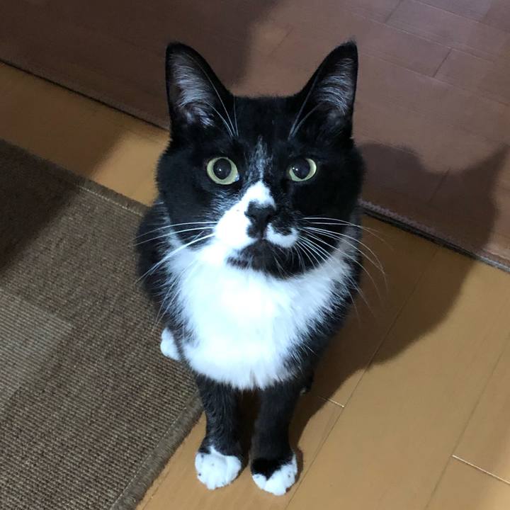 7b52e3e8 16a6 497d 9a86 10abe8cce1b1 1591586519786