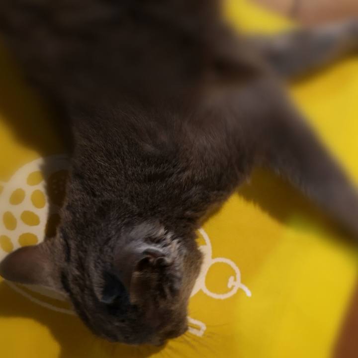 7b52ed1e a353 4e53 8384 254c872861f0 1683024596905