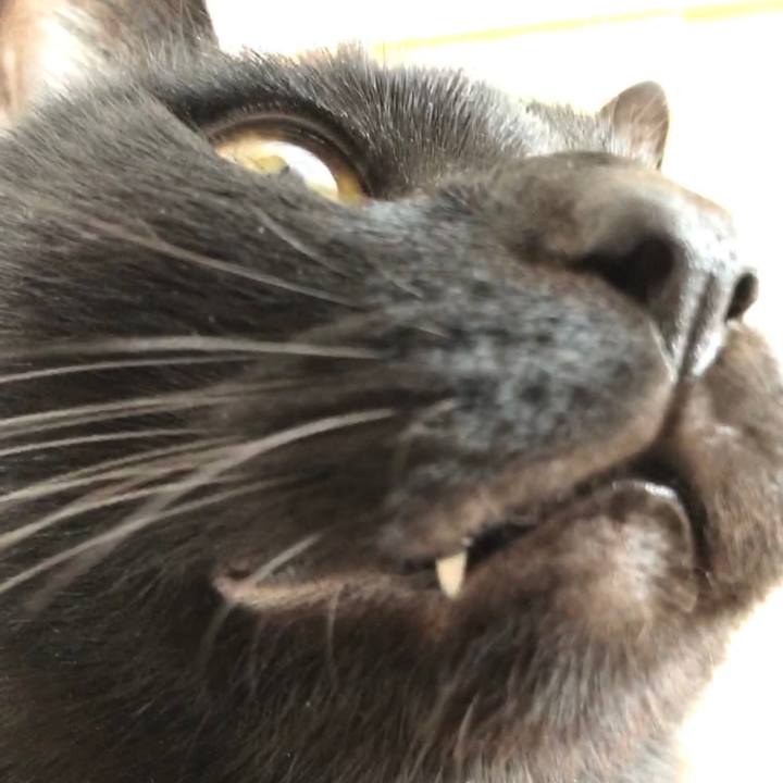 7b5347aa 035e 4756 99cf b95cc6e894dd 1671855228144