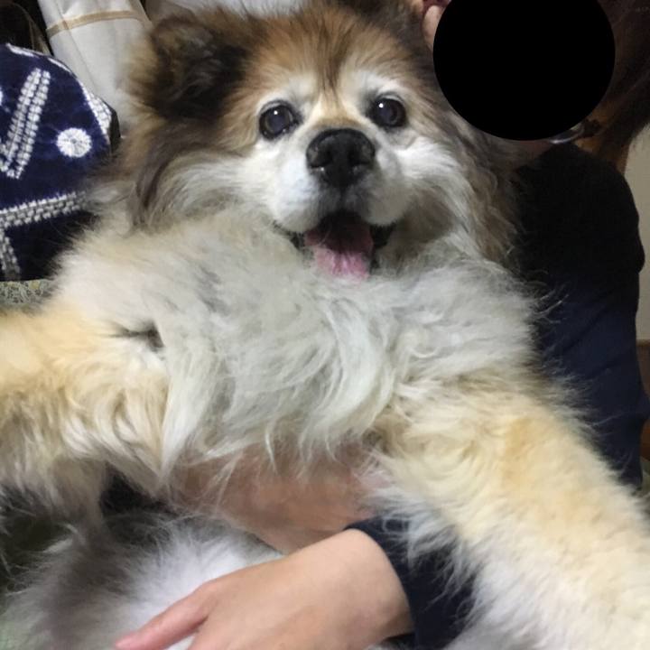 7b534ade ccad 4143 bc19 ba5ff8ceea47 1559481784816