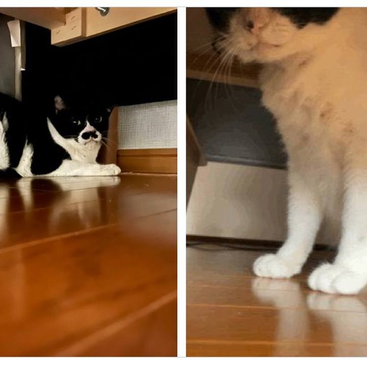 7b534d09 8c24 4890 9806 2c325086b7c4 1651493673615