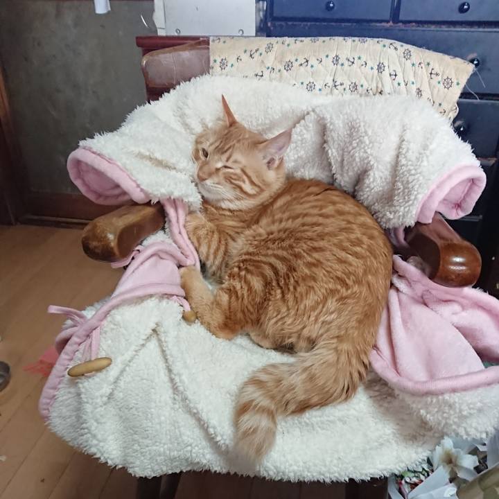 7b538198 2151 4b4f 833d f3ee725b2cb1 1640578845180