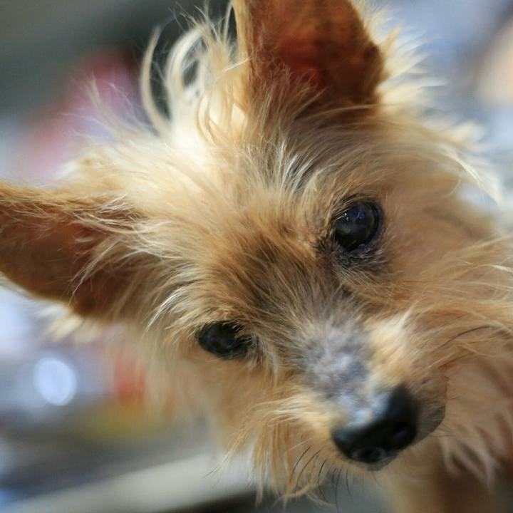 7b53a357 9840 4354 b813 85d235dc4bc2 1763357221320