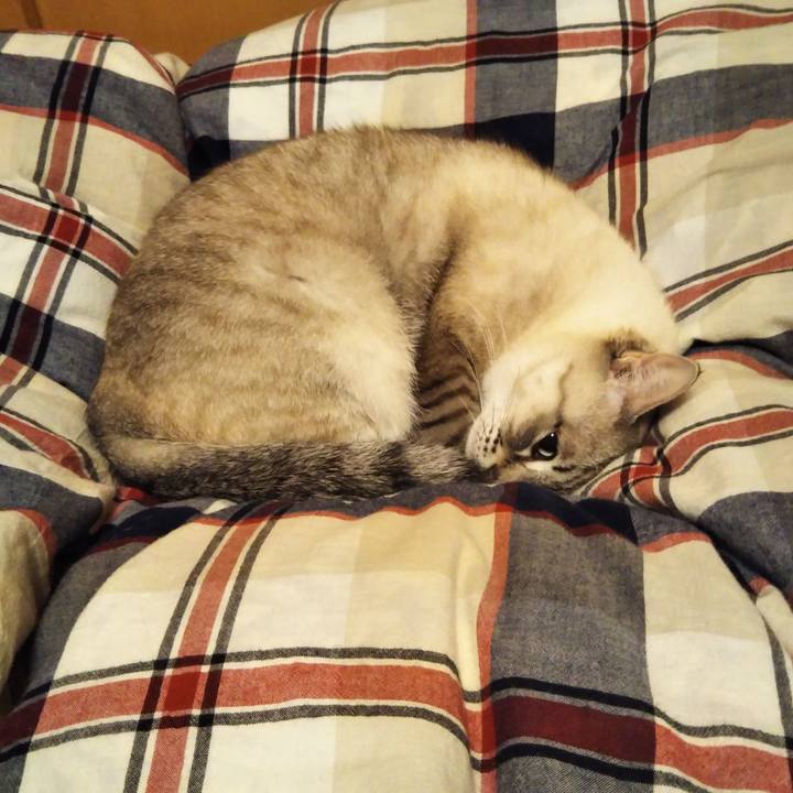 7b53a819 750c 4f39 8510 d355fc602cd4 1575902545861