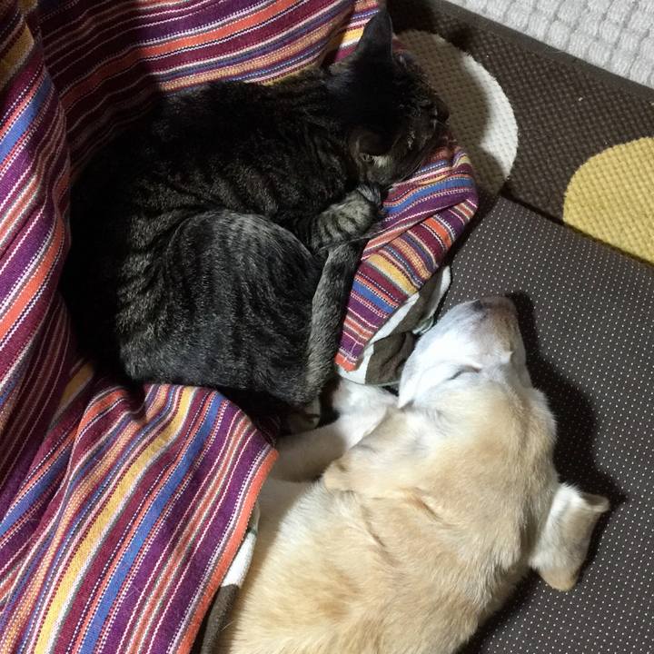 7b53b176 1773 4984 b864 cfdaf416fb3d 1574569782876