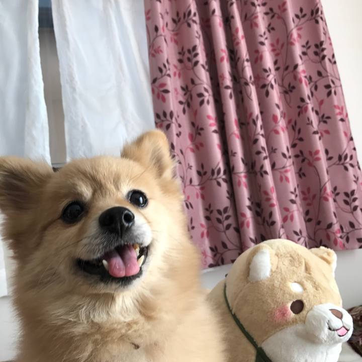 7b53d233 2bb4 4108 9d78 ee7789e2d4f5 1584682328771