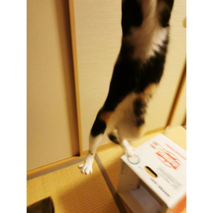 7b542b5e 28f9 4411 8bba 9d38850458b5 1651645823939