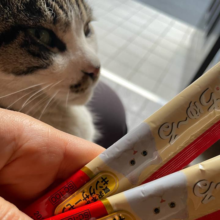 7b544123 5198 4ce0 8d77 185d7001ed6e 1677220216801