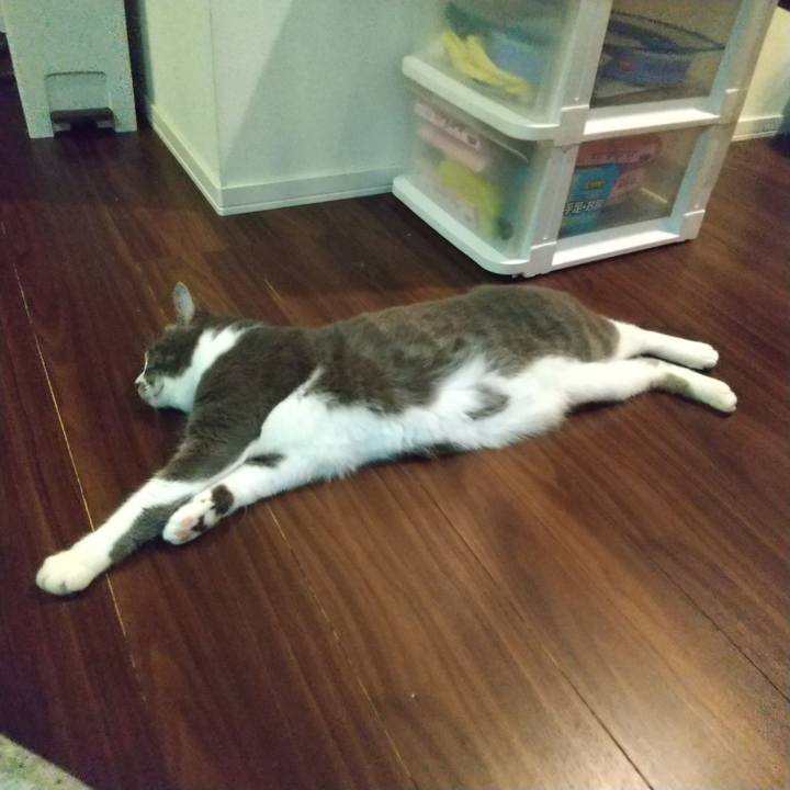 7b54547b 8e12 42d7 8a41 349a34dbccd3 1633090010368