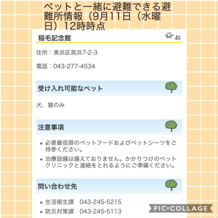 7b5465ff 9382 43b7 af58 8d92c4845f34 1568176350764