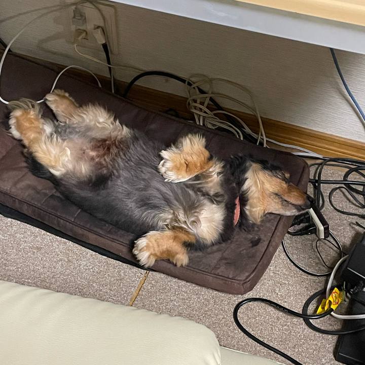 7b5466d6 33f3 4c5f 8f12 97296930c42b 1655214427235