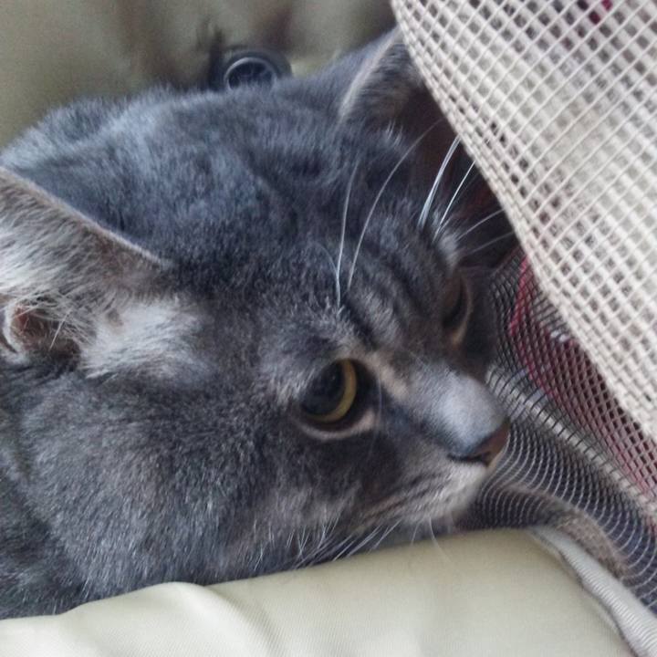 7b54a2b0 c20a 40d3 9fb3 16fa37828358 1515597194427