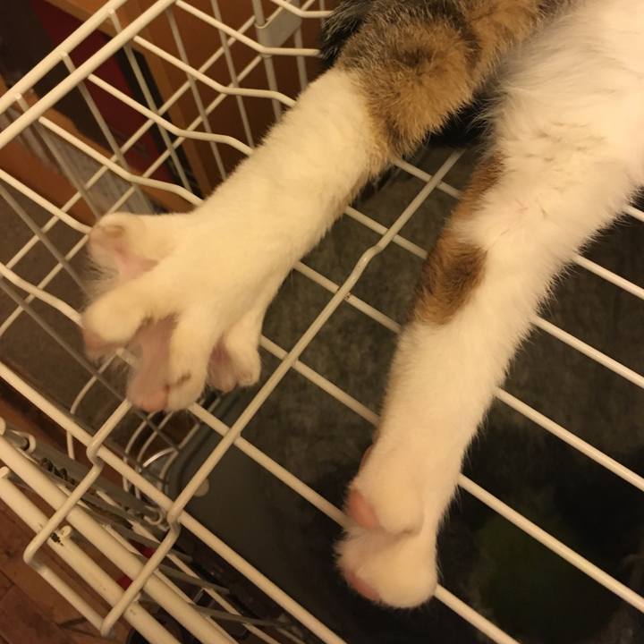 7b54af6d eed4 4201 b2fd 96060e34f101 1525878033639